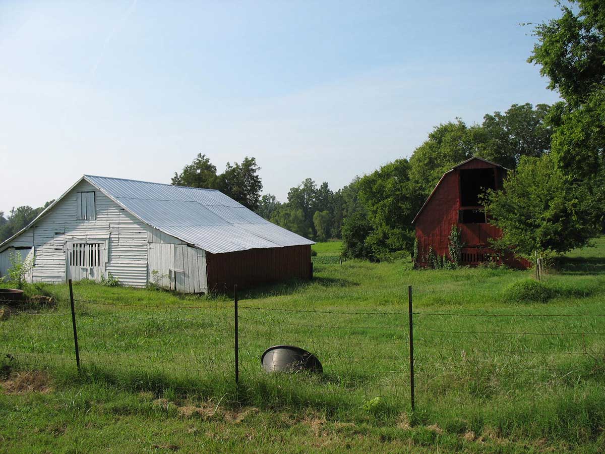 mccraryfarm 2 mccraryfarm 2