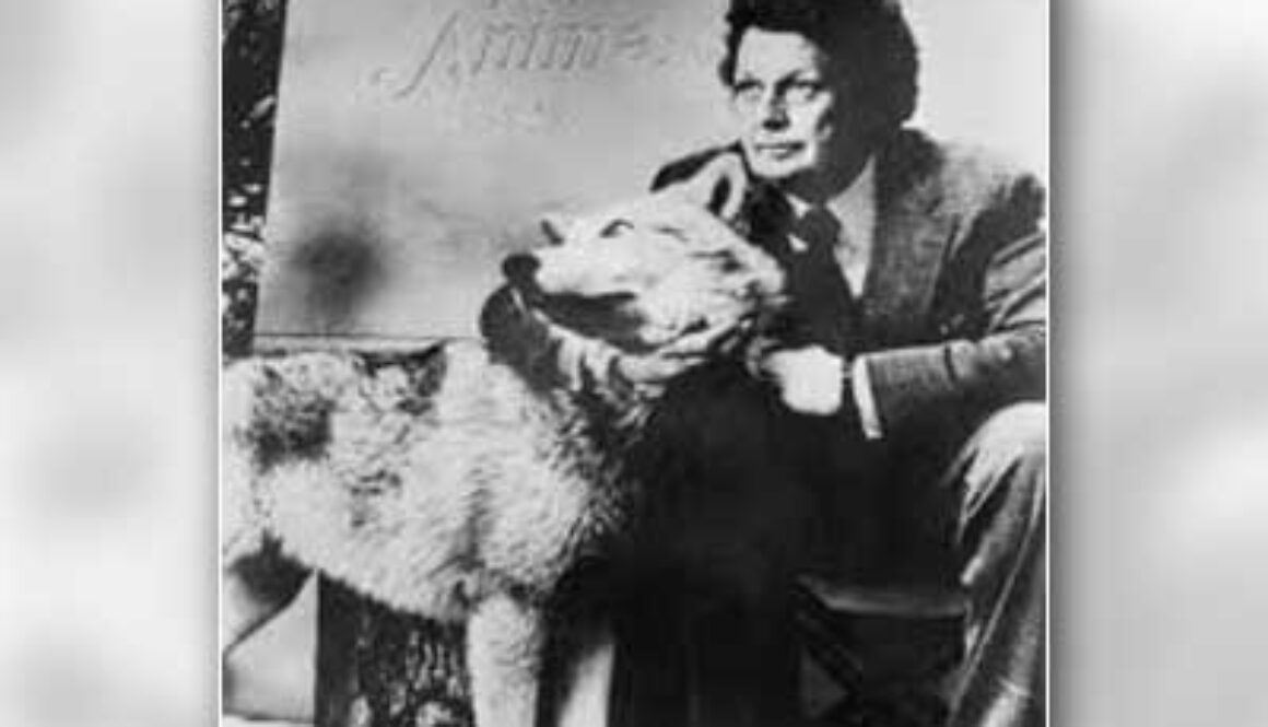 106-Cleveland-AmoryB